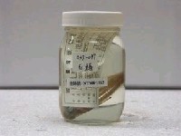 藏品(黑邊鰏)的圖片